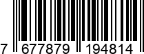 767787919481