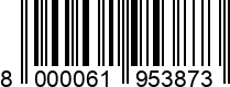 8000061953873