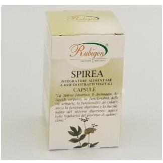 Capsule Spirea Ulmaria Articolazioni 400mg da 60 cps.