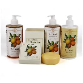 ALC021 - Gel Doccia Linea Fiorentini al Citrus Agrumi 500 ml.