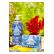 Sapone liquido  Villa Sole Fresia Bl&ugrave; 500ml