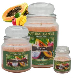 Cartone da 6 Candele Piccole Tropical  da 90 gr cad.