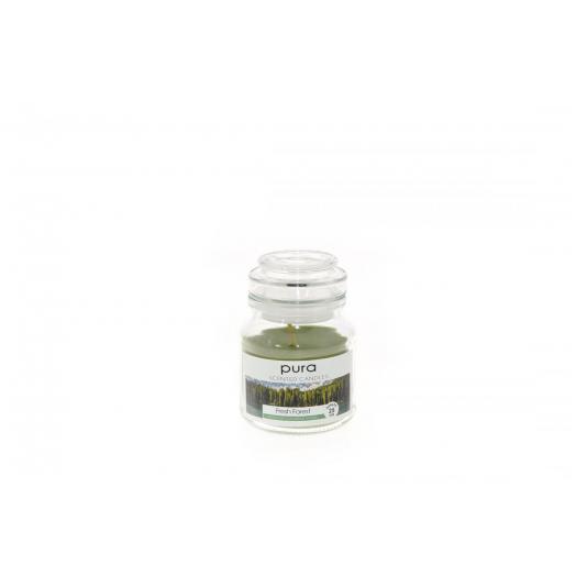 MER32074 - Espositore da 12 candele in barattolo di vetro D. cm 7xh. 10,2 (gr. 130) fragranza fresh forest di colore verde
