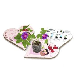 ECO006 - Cuore Insieme per Sempre in busta trasaprente nasce la pianta alto 10 cm
