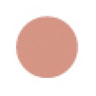 Cipria Compatta Bio Beige Scuro n.433