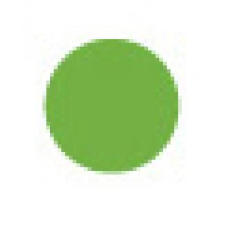 Matitone Bio Occhi e Labbra Verde chiaro n.425