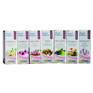 Tintura Analcolica di Ribes Nero Antiossidante da 50 ml