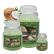 Cartone da 4 Candele Grandi Coconut e Mint da 580 gr cad.